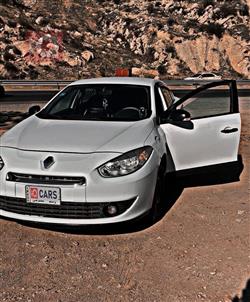 رينو فلوينس